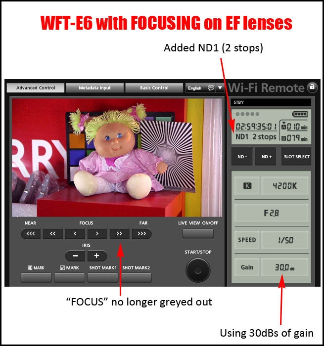 Focus