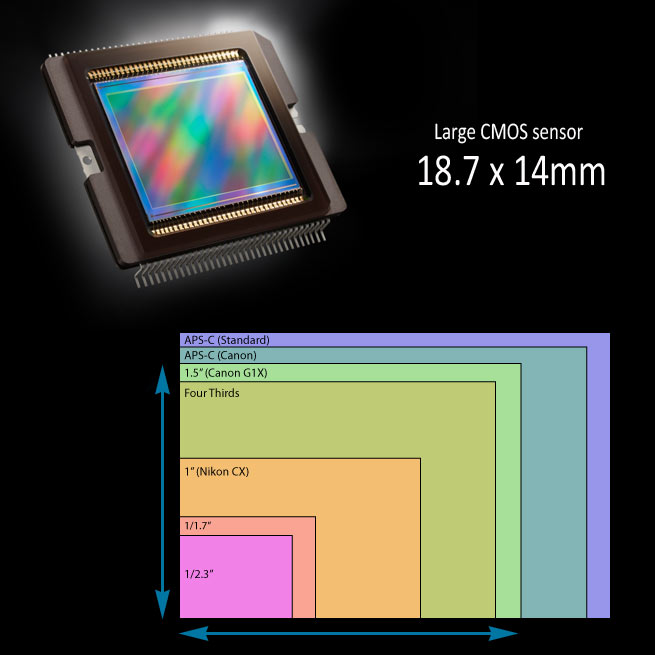 Sensor