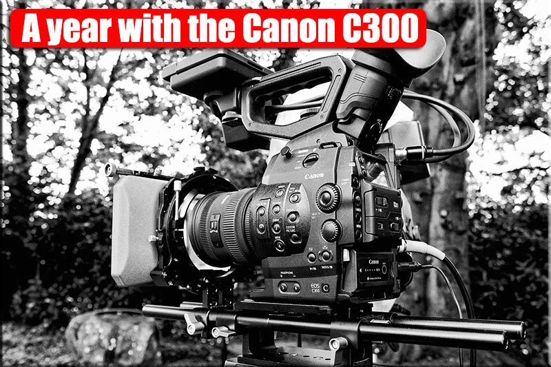 A-year-with-C300