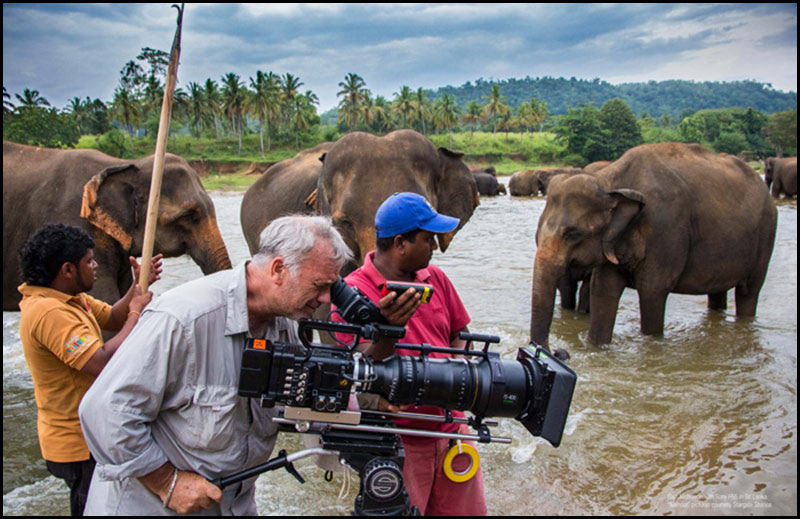 sony-f5-f55-web