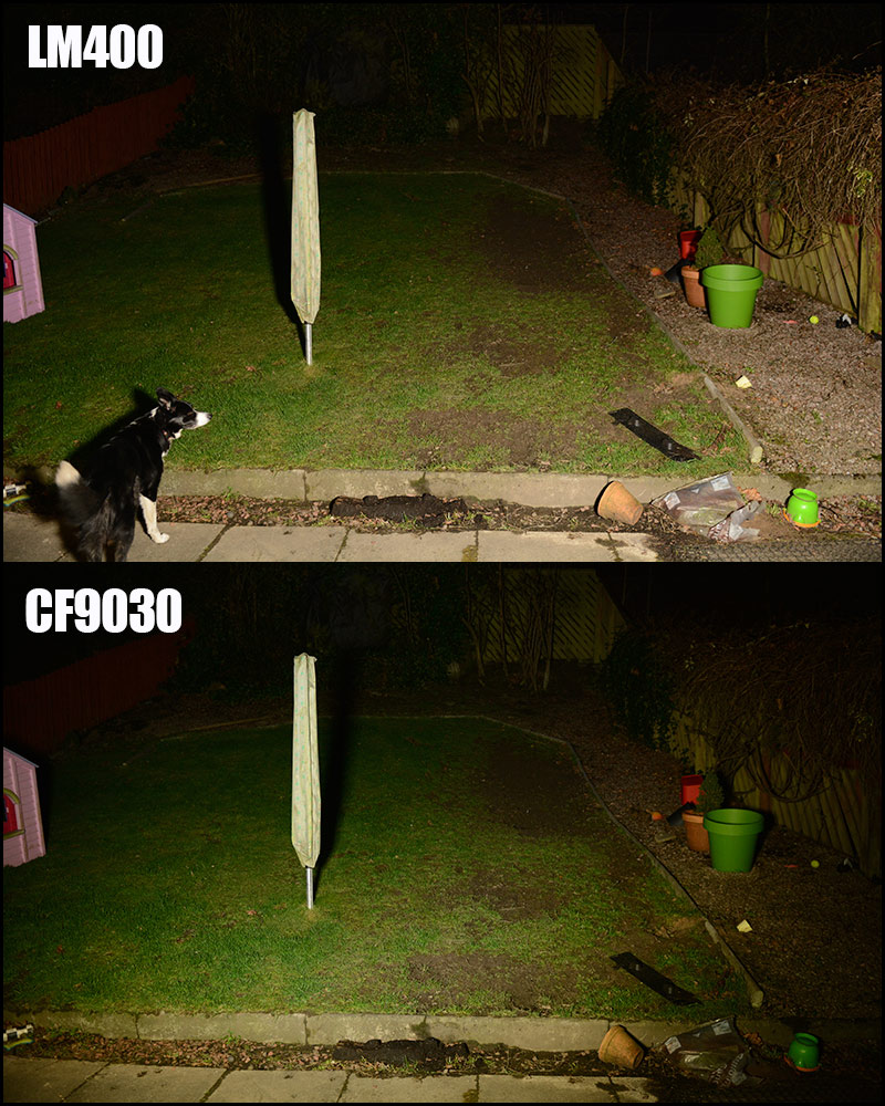 LM400-back-garden