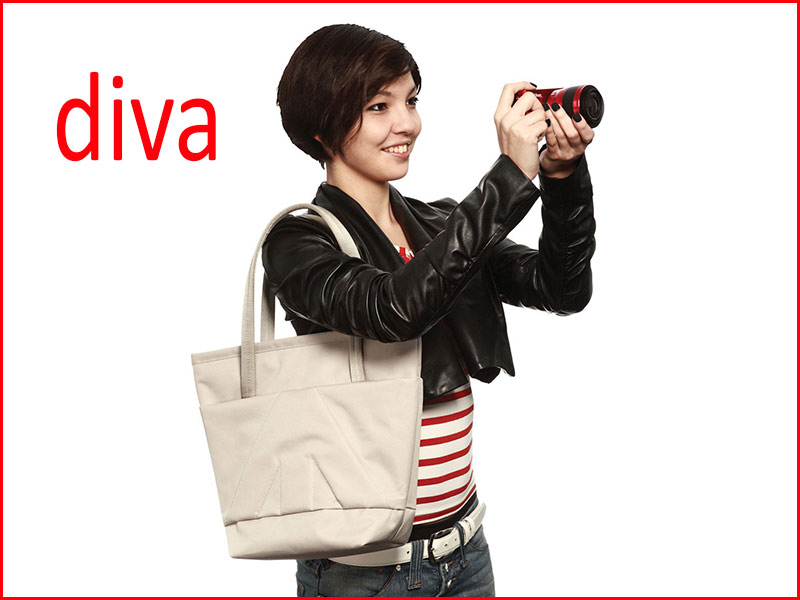 diva-bag